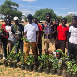 Tree planting in Binga