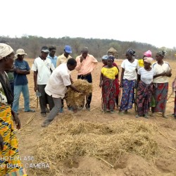 Community CF ToT training trainees on mulching